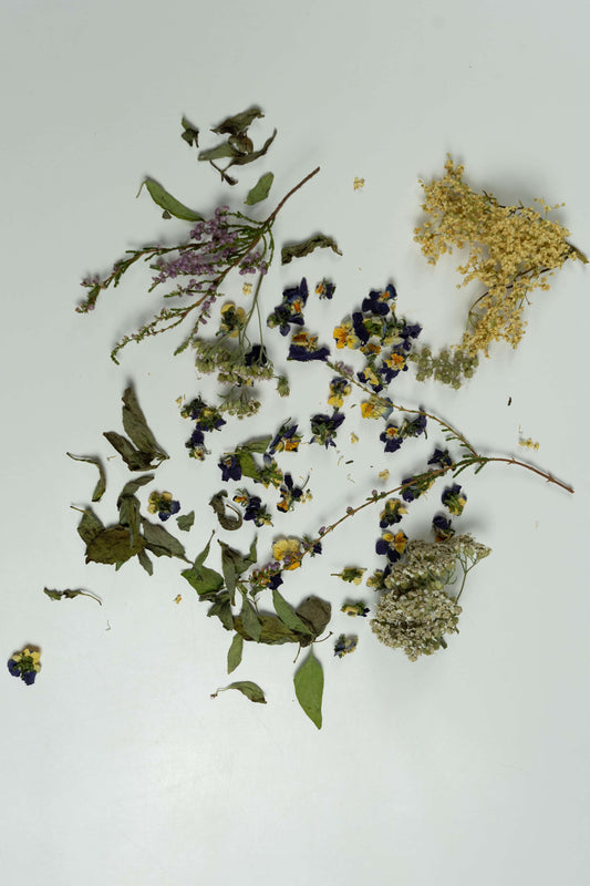 Le chant des rivières